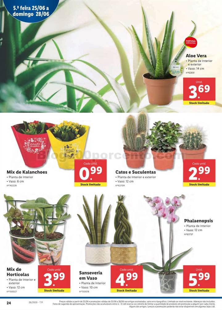 Antevisão Folheto LIDL Promoções de 22 a 28 junho p24.jpg